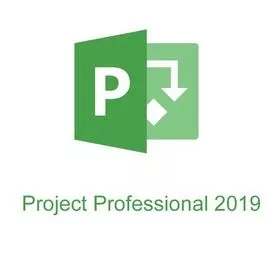 Project Professional