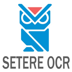 SETERE OCR. Конкурентная, стандартная тех. поддержка