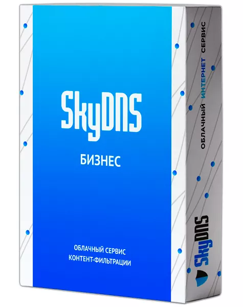 SkyDNS Бизнес. 40 лицензий на 1 год, SKY_Bsn_40
